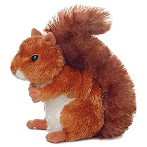 SQUIRREL, NUTSIE